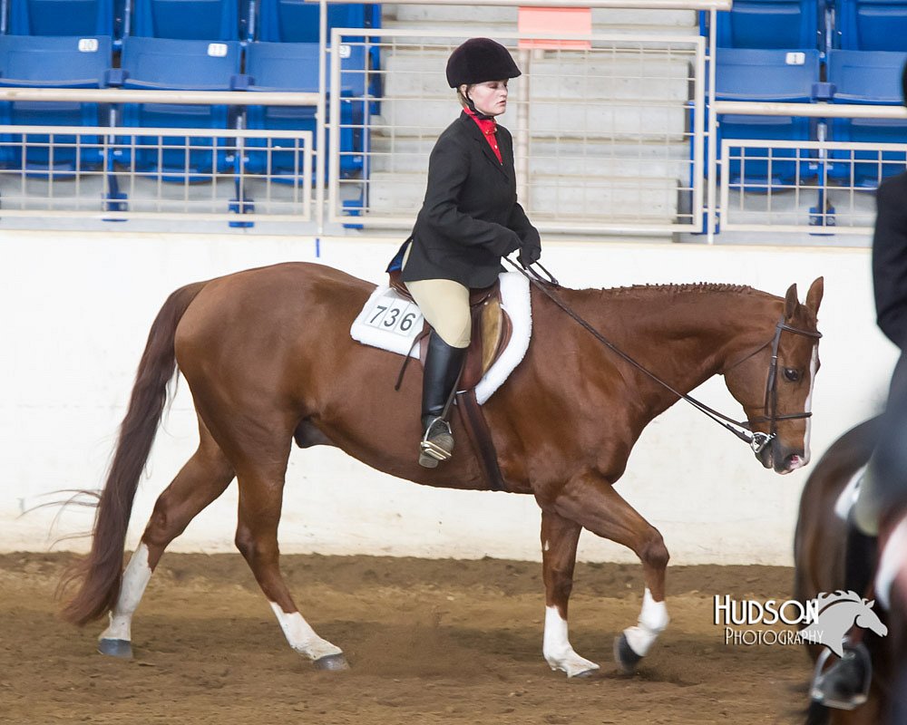 4H-Sate-102713-1225.jpg
