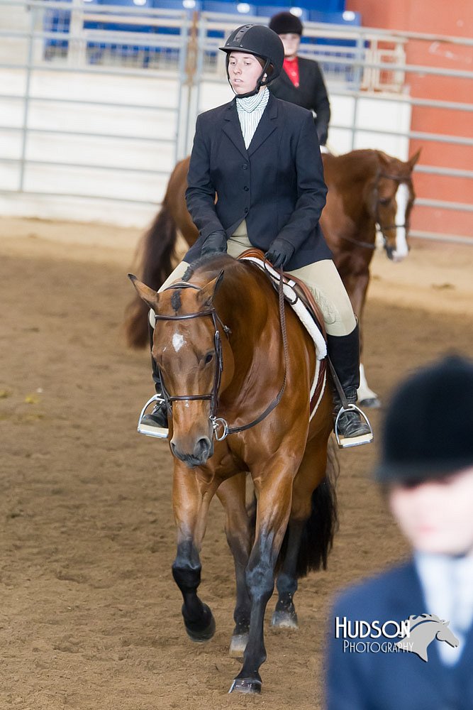 4H-Sate-102713-1226.jpg