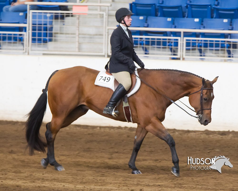 4H-Sate-102713-1229.jpg