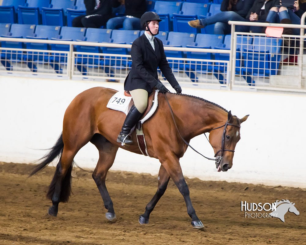 4H-Sate-102713-1239.jpg