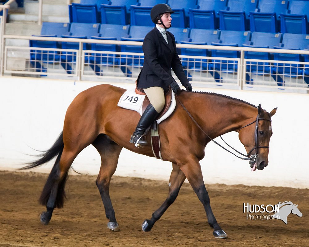 4H-Sate-102713-1240.jpg