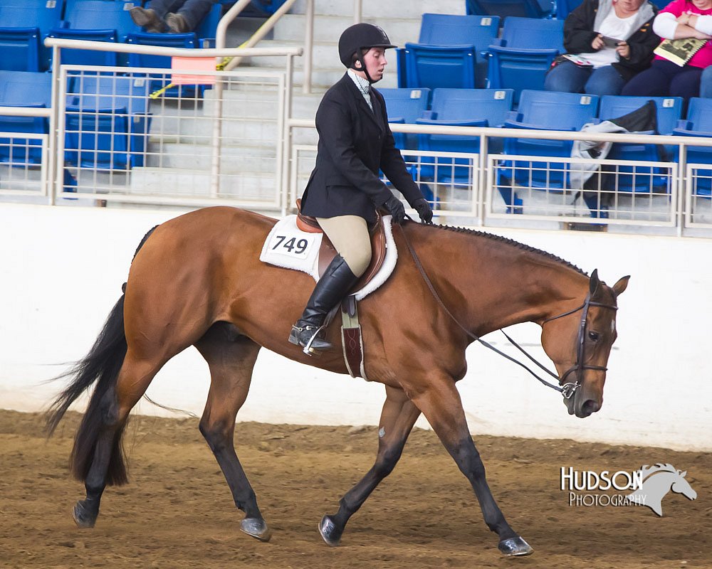 4H-Sate-102713-1241.jpg