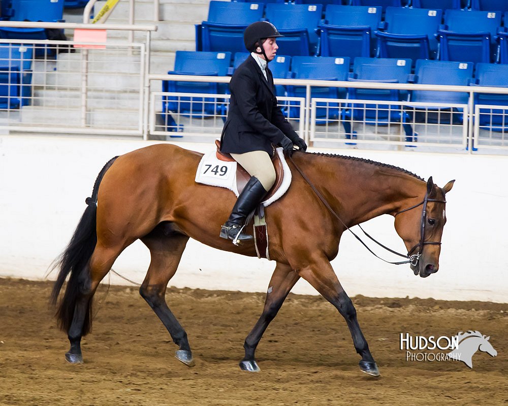 4H-Sate-102713-1242.jpg