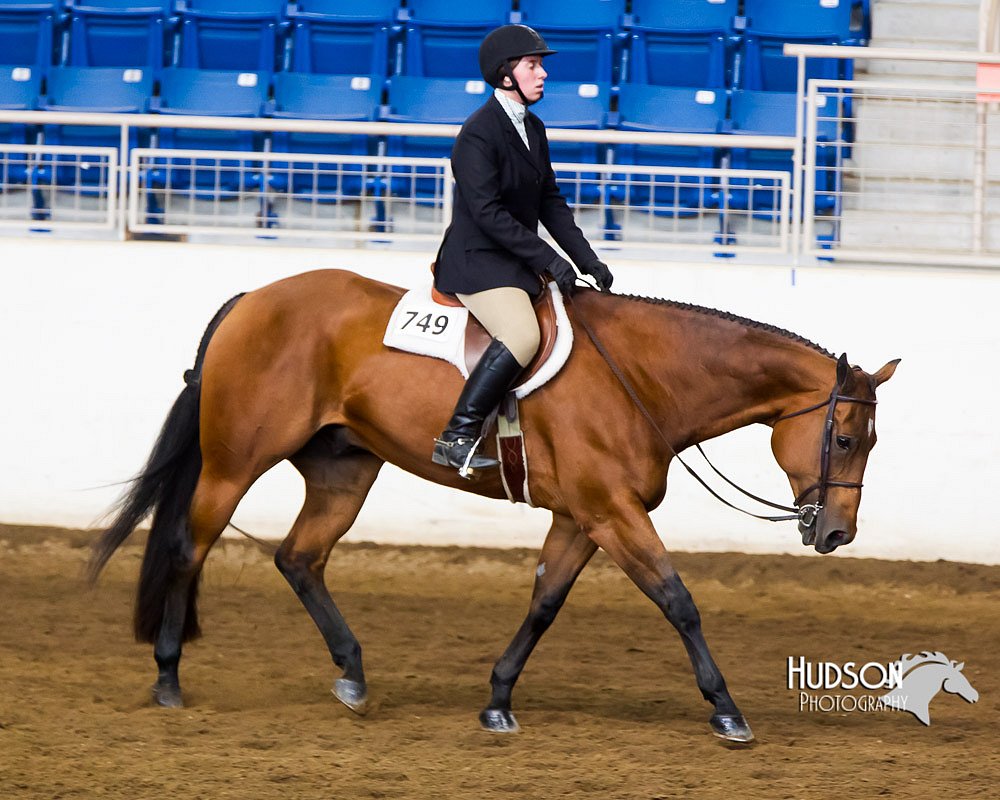 4H-Sate-102713-1243.jpg