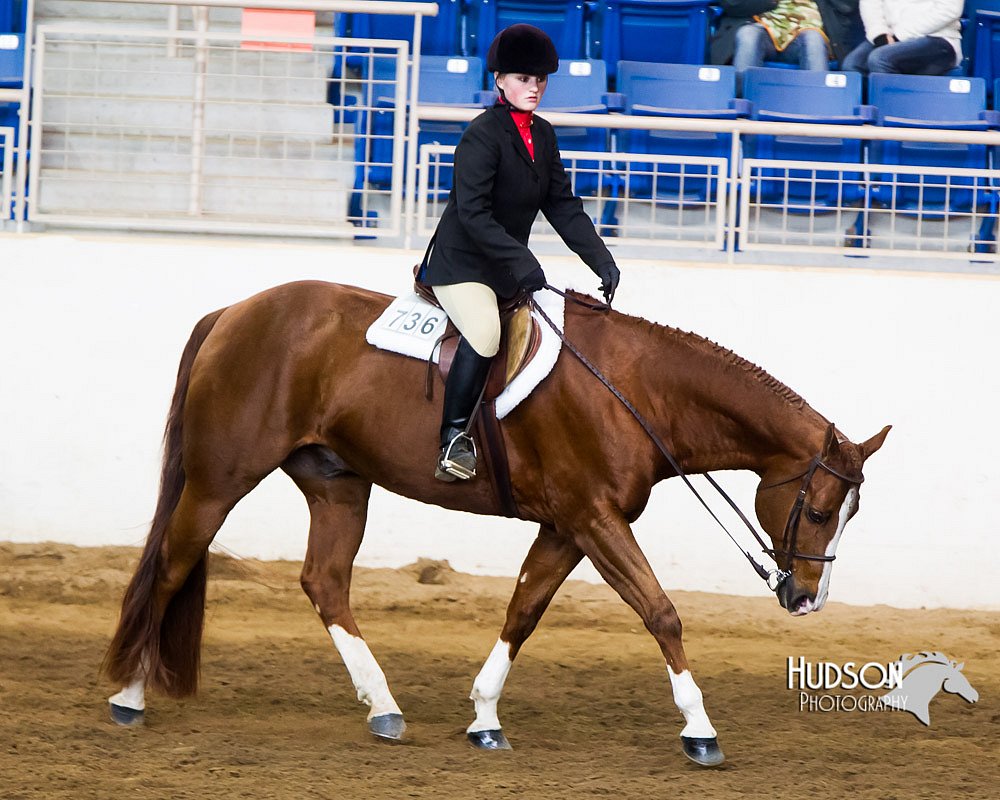 4H-Sate-102713-1248.jpg