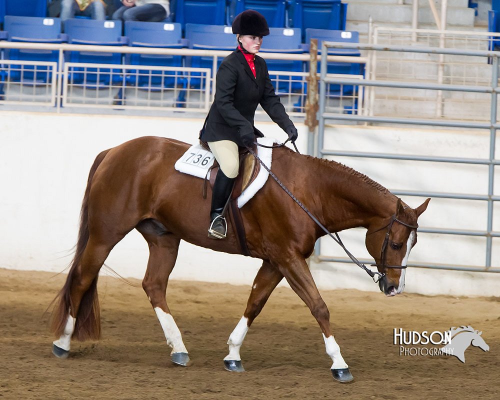 4H-Sate-102713-1249.jpg