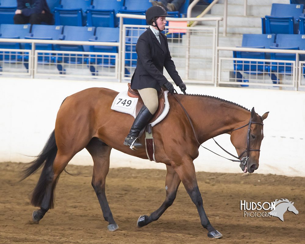 4H-Sate-102713-1250.jpg