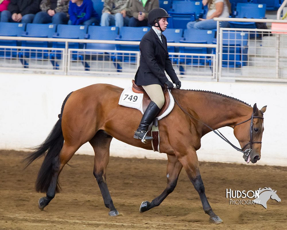 4H-Sate-102713-1251.jpg