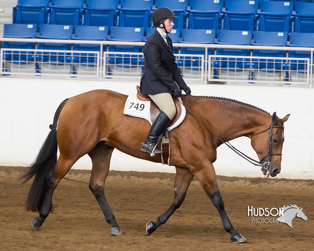 4H-Sate-102713-1252.jpg