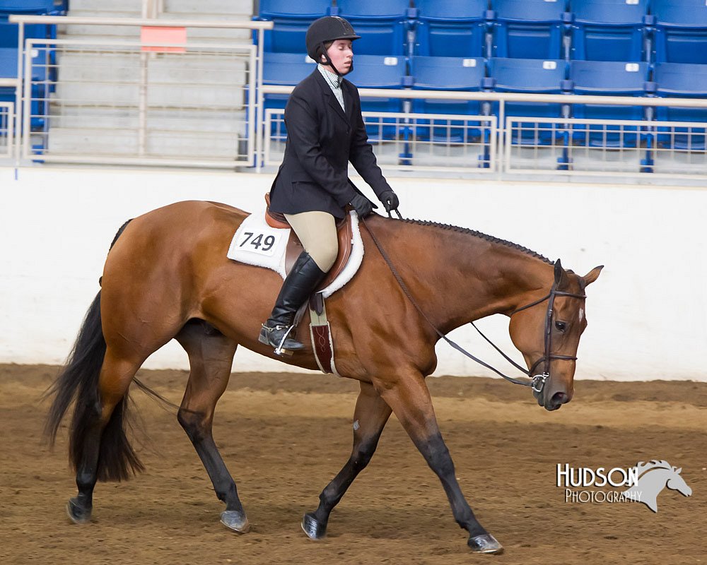 4H-Sate-102713-1253.jpg