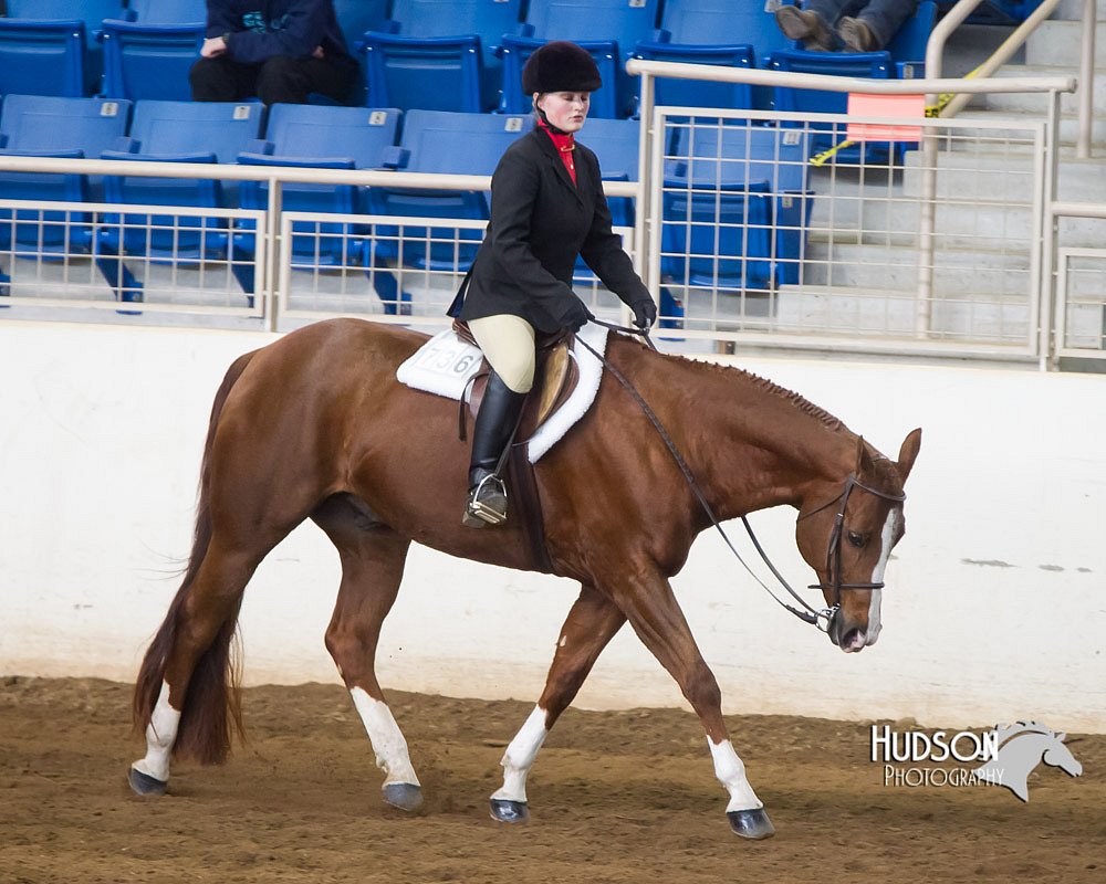 4H-Sate-102713-1254.jpg