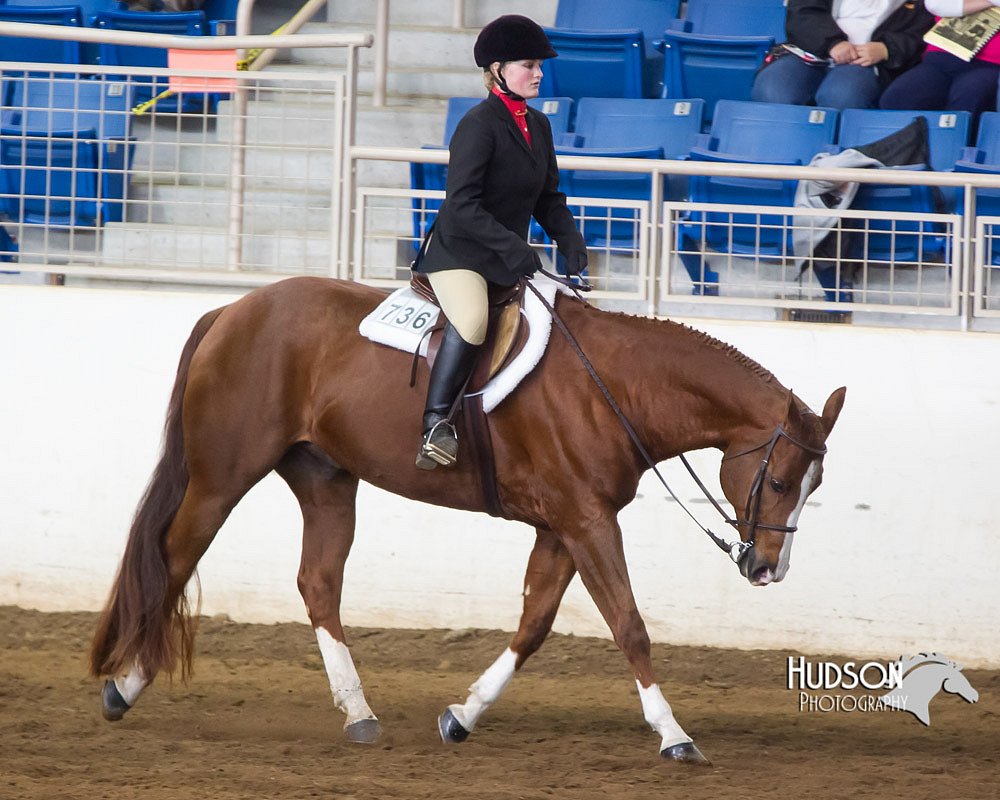 4H-Sate-102713-1255.jpg