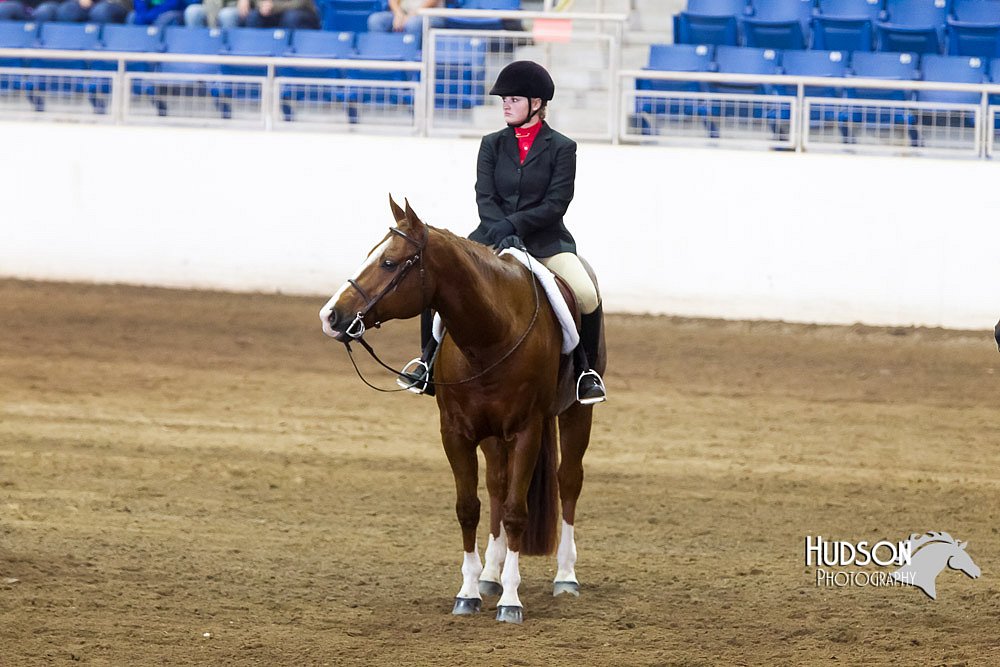 4H-Sate-102713-1260.jpg