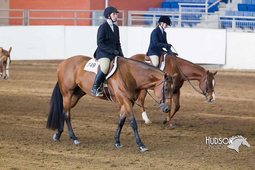 4H-Sate-102713-1271.jpg