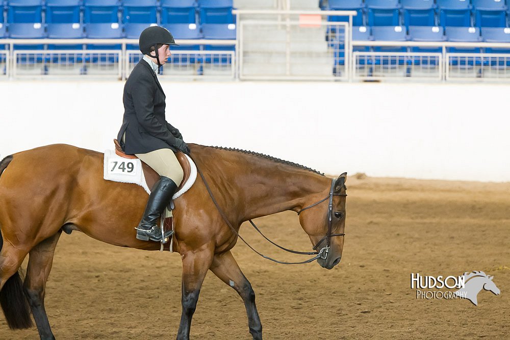 4H-Sate-102713-1272.jpg