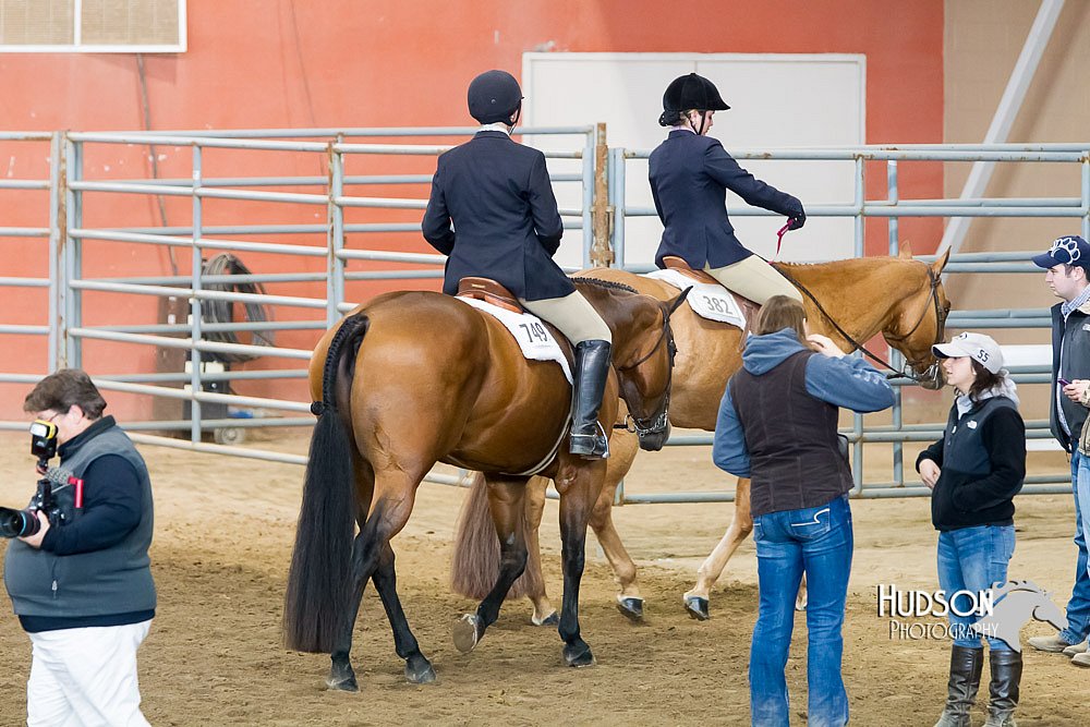 4H-Sate-102713-1275.jpg