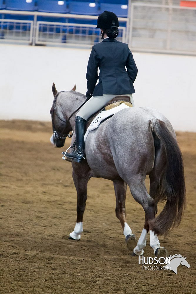 4H-Sate-102713-1281.jpg