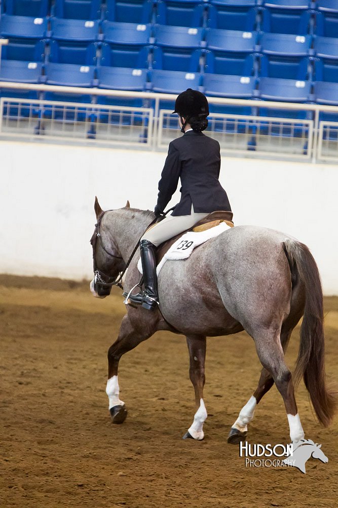 4H-Sate-102713-1282.jpg