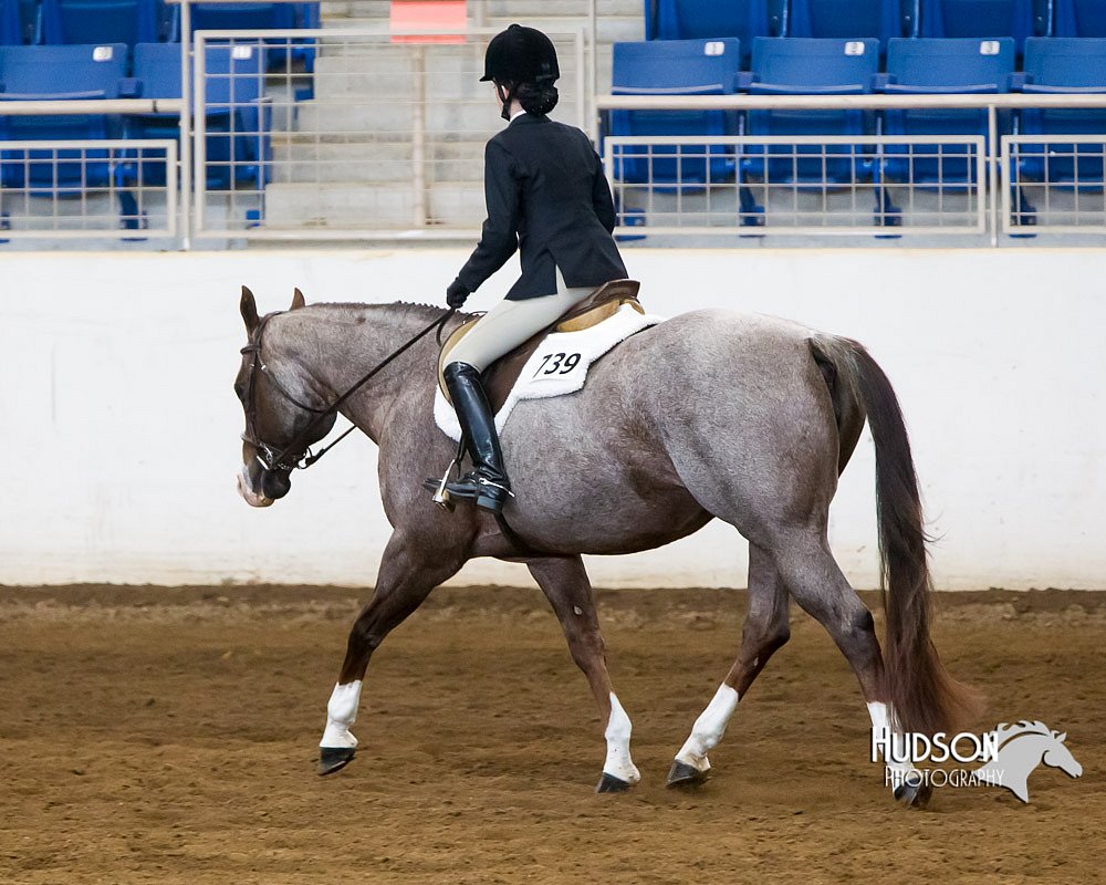 4H-Sate-102713-1283.jpg