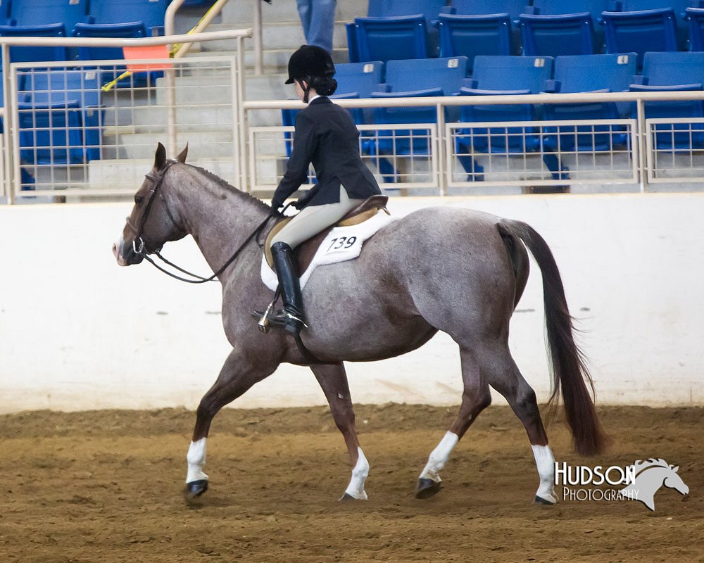 4H-Sate-102713-1284.jpg