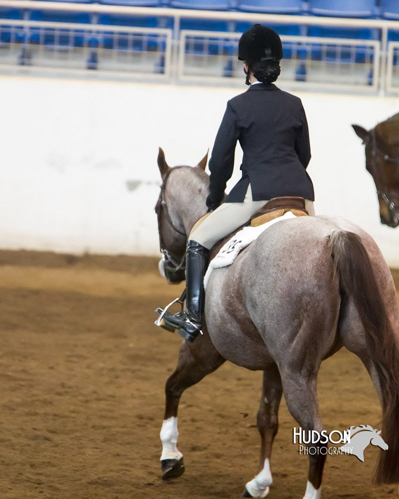 4H-Sate-102713-1285.jpg