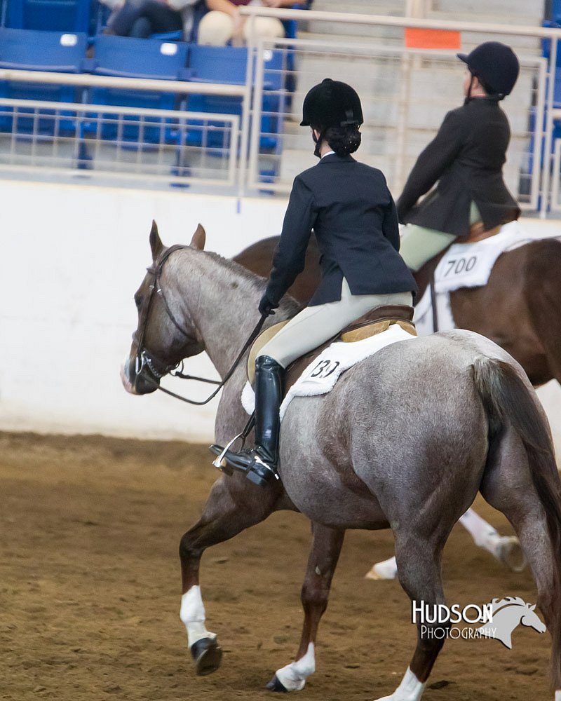 4H-Sate-102713-1286.jpg