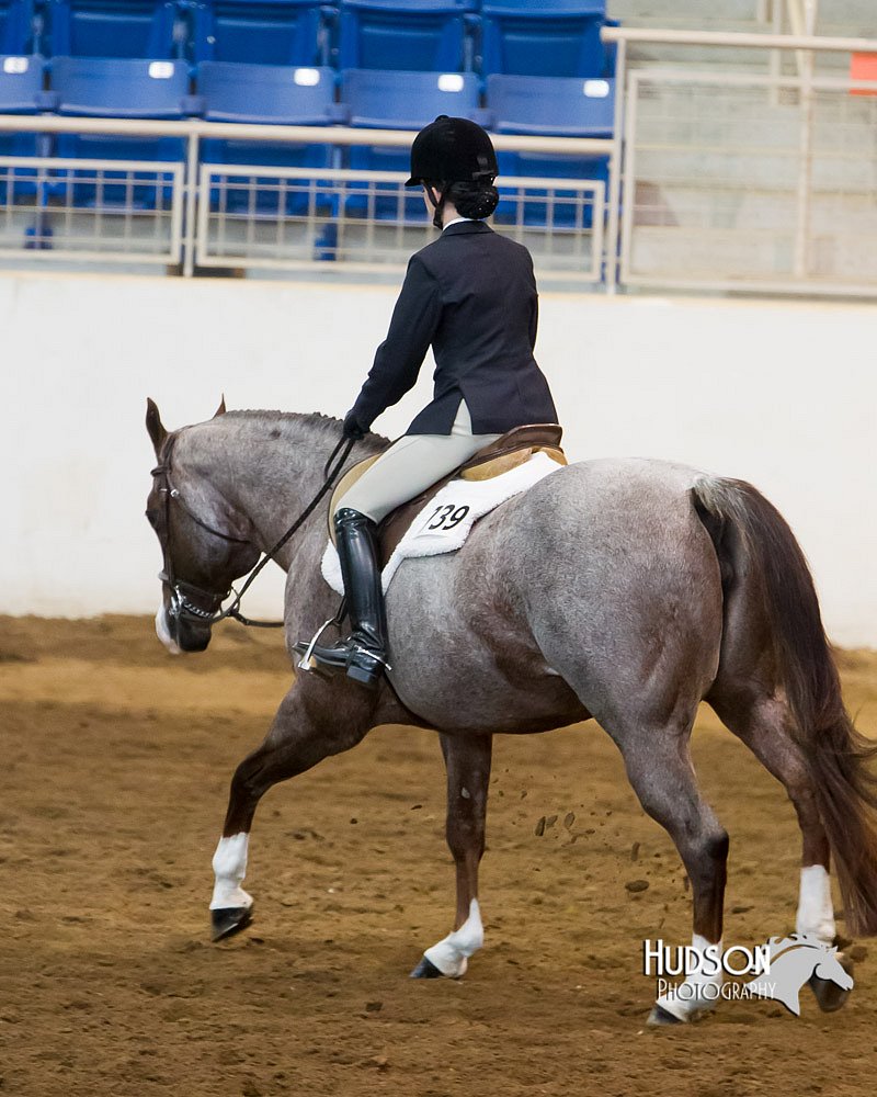 4H-Sate-102713-1289.jpg