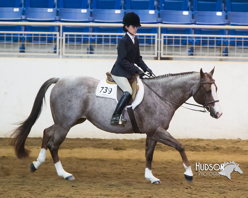 4H-Sate-102713-1291.jpg
