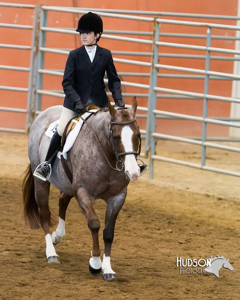 4H-Sate-102713-1292.jpg