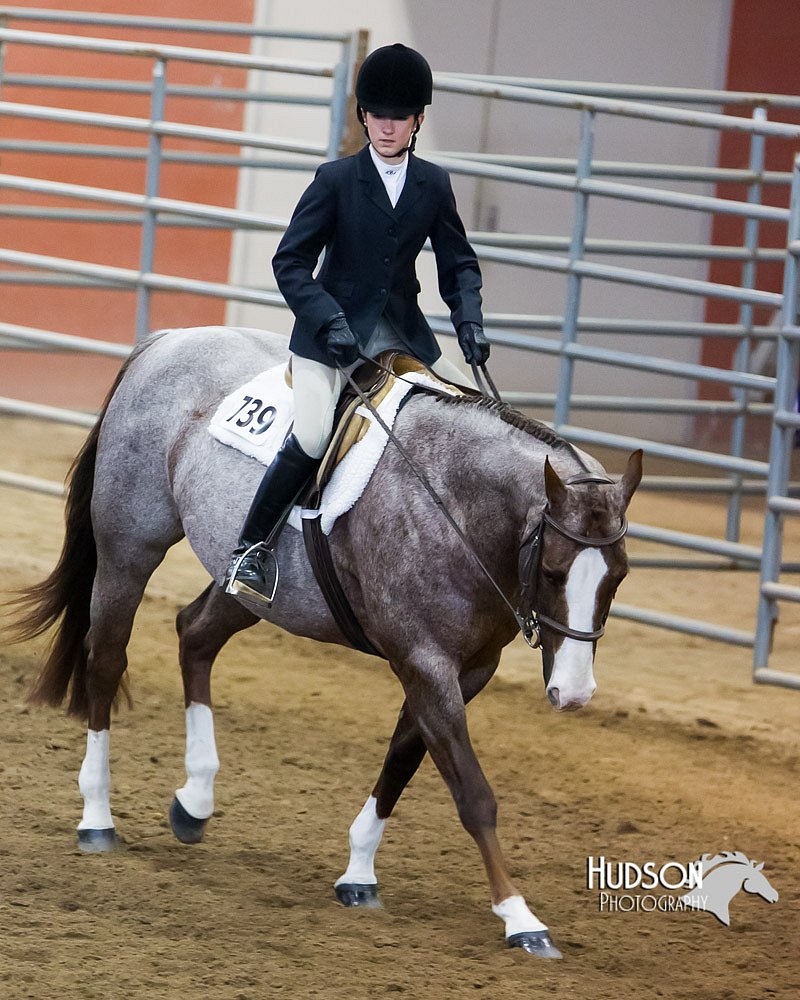 4H-Sate-102713-1294.jpg