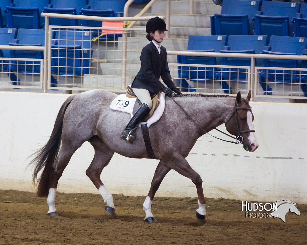 4H-Sate-102713-1295.jpg