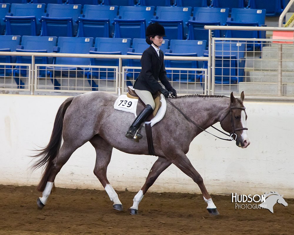 4H-Sate-102713-1297.jpg
