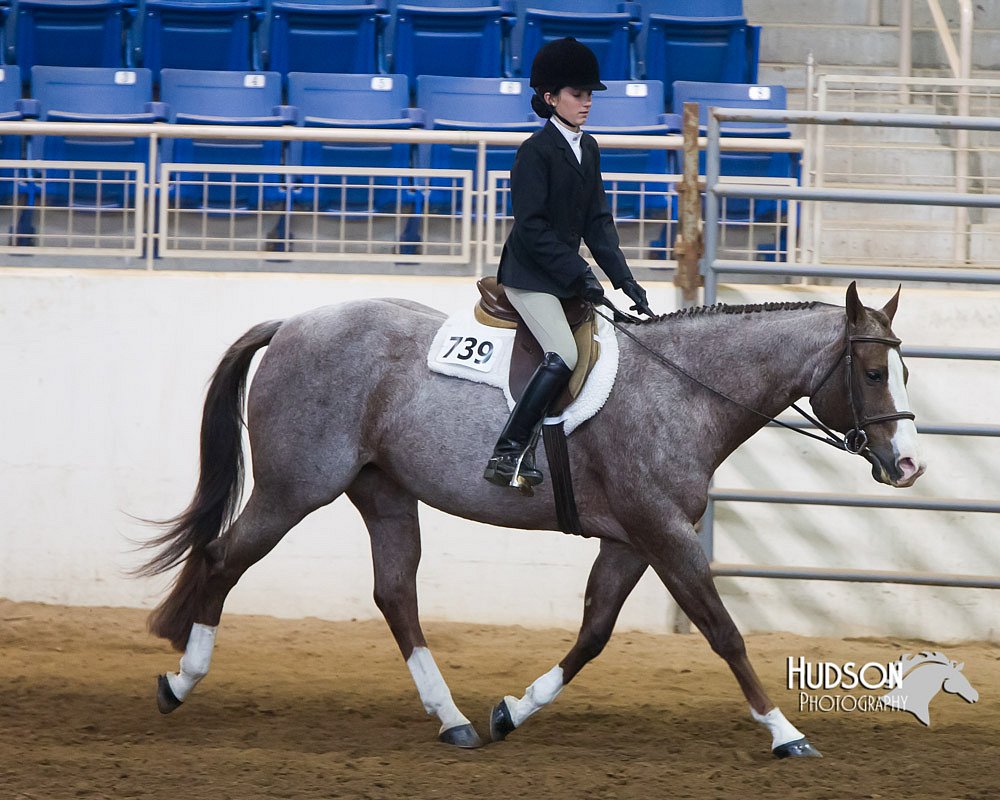 4H-Sate-102713-1301.jpg