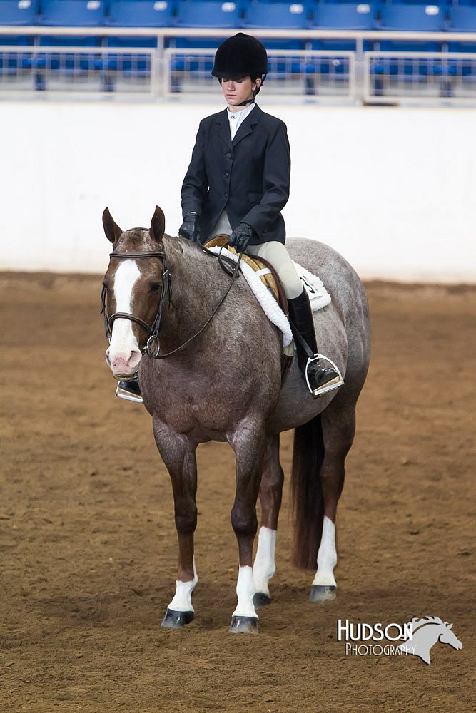 4H-Sate-102713-1308.jpg