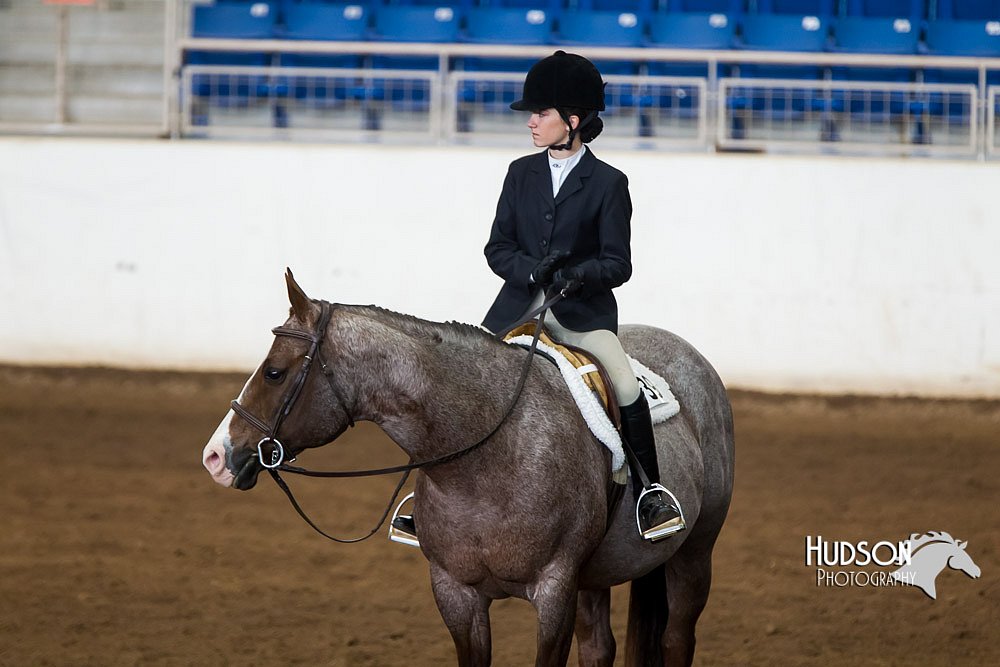 4H-Sate-102713-1312.jpg