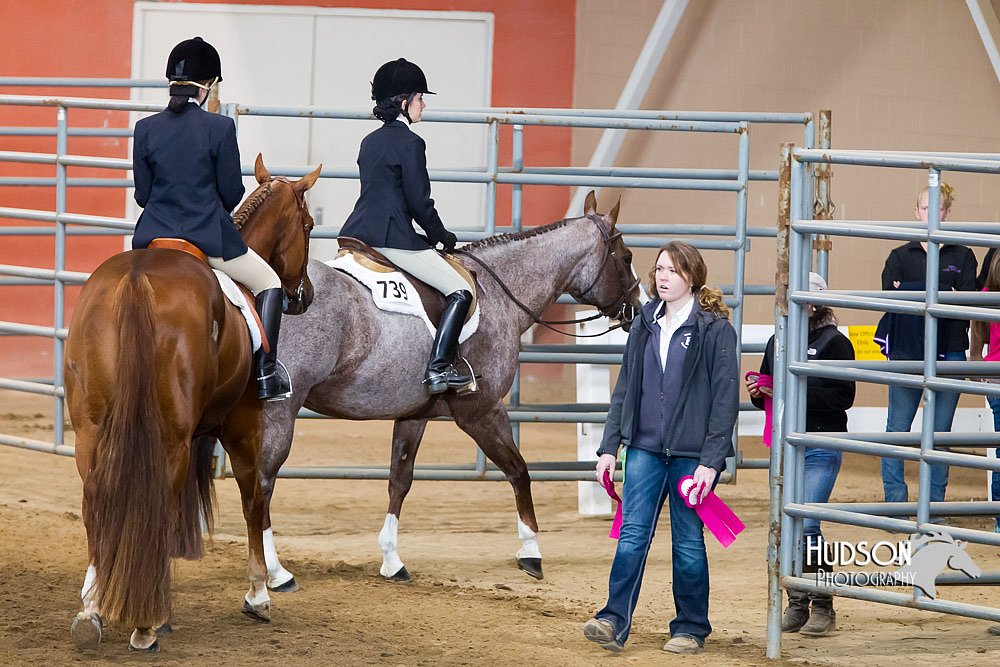 4H-Sate-102713-1317.jpg