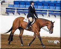 4H-Sate-102713-1240.jpg