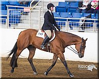4H-Sate-102713-1241.jpg