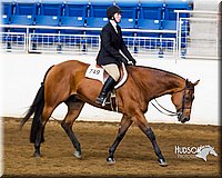 4H-Sate-102713-1243.jpg
