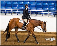 4H-Sate-102713-1244.jpg