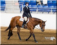 4H-Sate-102713-1245.jpg