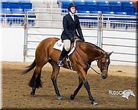 4H-Sate-102713-1246.jpg