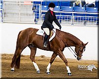 4H-Sate-102713-1248.jpg