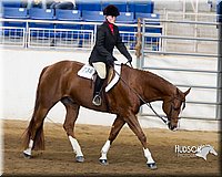 4H-Sate-102713-1249.jpg