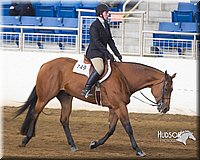 4H-Sate-102713-1250.jpg