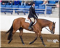 4H-Sate-102713-1251.jpg