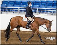 4H-Sate-102713-1252.jpg