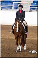 4H-Sate-102713-1257.jpg