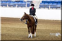 4H-Sate-102713-1260.jpg