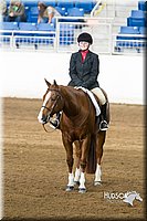 4H-Sate-102713-1261.jpg